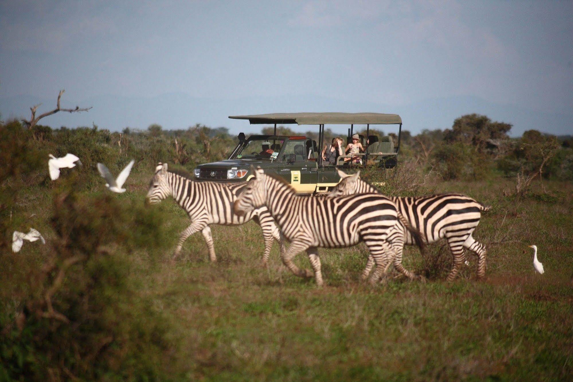 Elewana Tortilis Camp Hotell Amboseli Eksteriør bilde