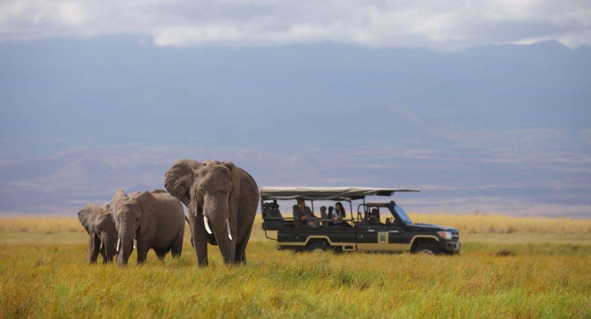 Elewana Tortilis Camp Hotell Amboseli Eksteriør bilde